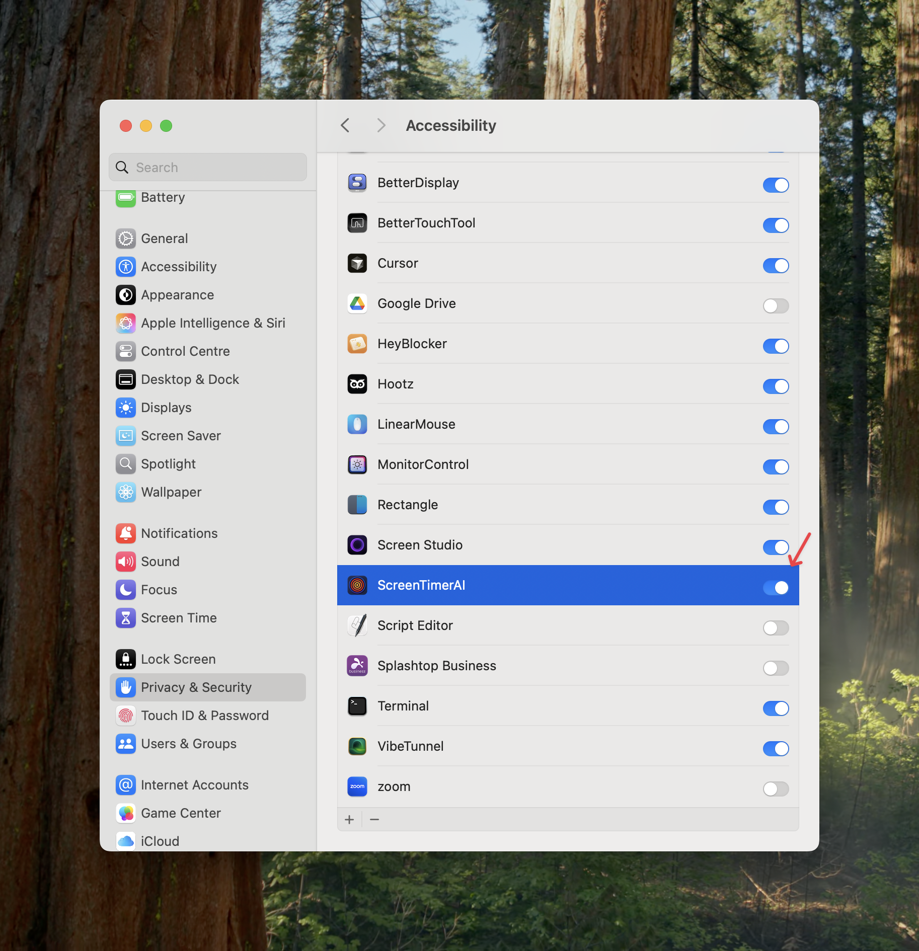 Grant accessibility permission manually in System Settings